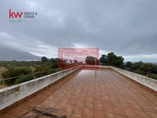 Μονοκατοικία 354,15 τ.μ. προς πώληση, Ανθηδώνος-thumb-3