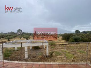 Μονοκατοικία 354,15 τ.μ. προς πώληση, Ανθηδώνος-thumb-4