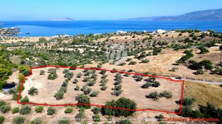 Οικόπεδο 7.600 τ.μ. για πώληση