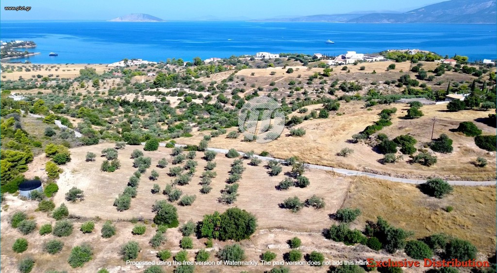 Οικόπεδο 7.600 τ.μ. πρός πώληση, Αργολίδα, Κρανίδι