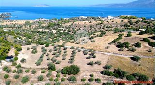 Οικόπεδο 7.600 τ.μ. για πώληση, Αργολίδα, Κρανίδι-thumb-1