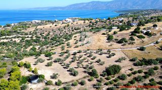 Οικόπεδο 7.600 τ.μ. για πώληση, Αργολίδα, Κρανίδι-thumb-2
