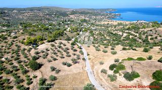 Οικόπεδο 7.600 τ.μ. για πώληση, Αργολίδα, Κρανίδι-thumb-3