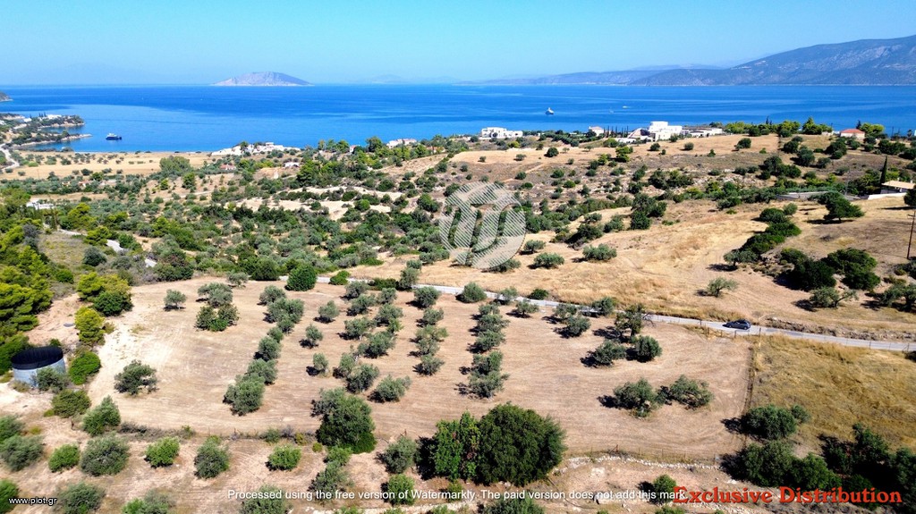 Οικόπεδο 7.600 τ.μ. πρός πώληση, Αργολίδα, Κρανίδι