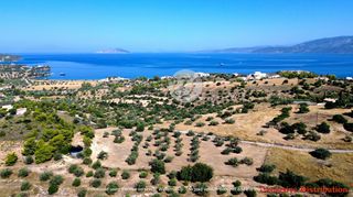 Οικόπεδο 7.600 τ.μ. για πώληση, Αργολίδα, Κρανίδι-thumb-5