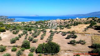 Οικόπεδο 7.600 τ.μ. για πώληση, Αργολίδα, Κρανίδι-thumb-6