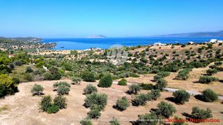 Οικόπεδο 7.600 τ.μ. για πώληση, Αργολίδα, Κρανίδι-thumb-7