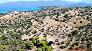 Οικόπεδο 7.600 τ.μ. για πώληση, Αργολίδα, Κρανίδι-thumb-8