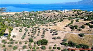 Οικόπεδο 7.600 τ.μ. για πώληση, Αργολίδα, Κρανίδι-thumb-1