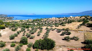 Οικόπεδο 7.600 τ.μ. για πώληση, Αργολίδα, Κρανίδι-thumb-2