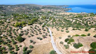 Οικόπεδο 7.600 τ.μ. για πώληση, Αργολίδα, Κρανίδι-thumb-3