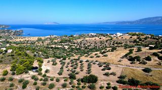 Οικόπεδο 7.600 τ.μ. για πώληση, Αργολίδα, Κρανίδι-thumb-5