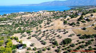 Οικόπεδο 7.600 τ.μ. για πώληση, Αργολίδα, Κρανίδι-thumb-8