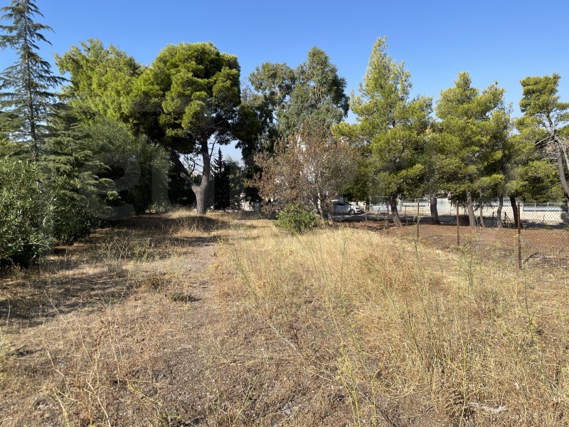Οικόπεδο 1.484 τ.μ. πρός πώληση, Αθήνα - Βόρεια Προάστια, Πεντέλη