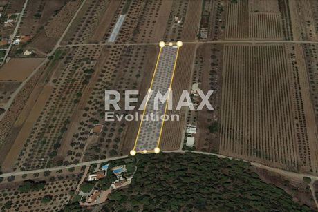 Αγροτεμάχια 7.785τ.μ. για πώληση-Παλαιά φώκαια » Κέντρο