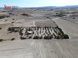 Αγροτεμάχια 7.488 τ.μ. για πώληση