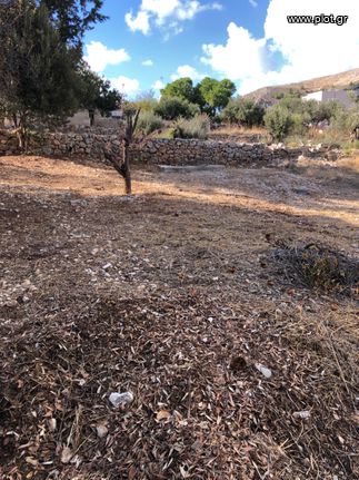 Οικόπεδο 716 τ.μ. για πώληση, Δωδεκάνησα, Κάλυμνος