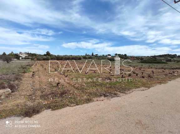 Land plot 15.300 sqm for sale, Athens - East, Paiania