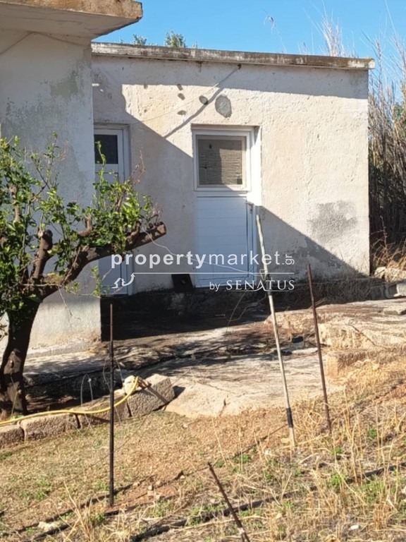 Οικόπεδο 900 τ.μ. προς πώληση, Αγία Φωτιά Σητείας