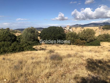 Οικόπεδο 4.000τ.μ. για πώληση-Κορωπί » Άγιος δημήτριος