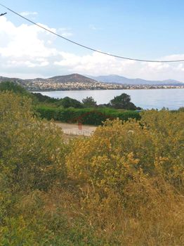 Οικόπεδο 900τ.μ. για πώληση-Μαρκόπουλο » Χαμολιά