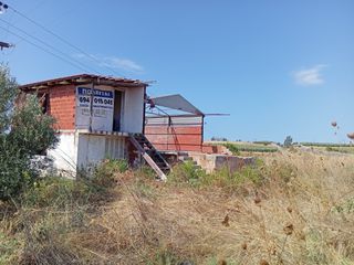 Αγροτεμάχια 10.000 τ.μ. για πώληση