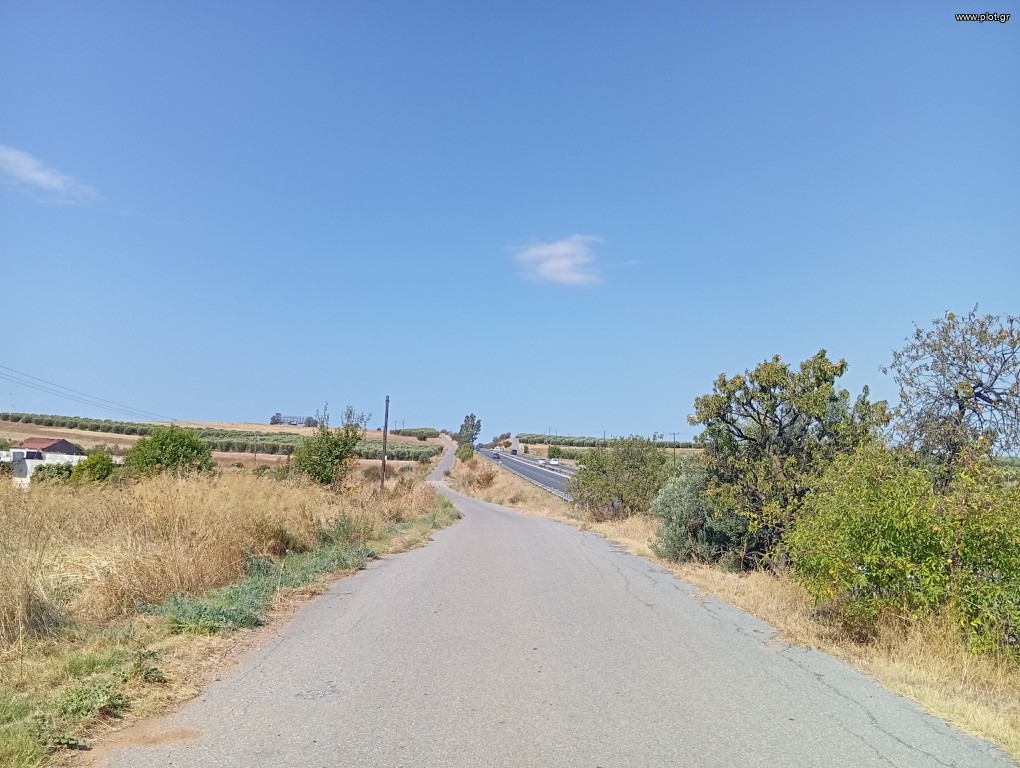 Αγροτεμάχια 10.000 τ.μ. πρός πώληση, Χαλκιδική, Μουδανιά