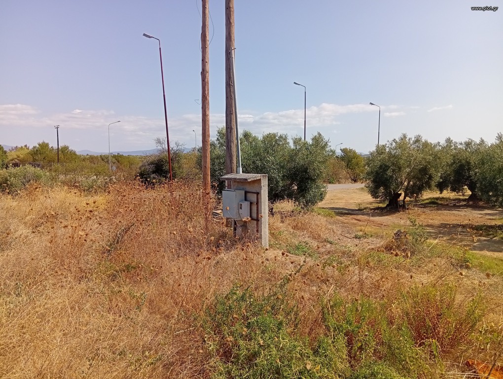 Αγροτεμάχια 10.000 τ.μ. πρός πώληση, Χαλκιδική, Μουδανιά