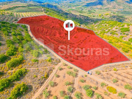 Αγροτεμάχια 31.600τ.μ. για πώληση-Νέα τίρυνθα