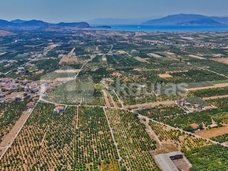 Αγροτεμάχια 7.425 τ.μ. για πώληση, Αργολίδα, Μιδέα-thumb-20