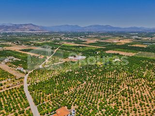 Αγροτεμάχια 7.425 τ.μ. για πώληση, Αργολίδα, Μιδέα-thumb-9