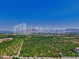 Αγροτεμάχια 7.425 τ.μ. για πώληση, Αργολίδα, Μιδέα-thumb-14