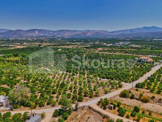 Αγροτεμάχια 7.425 τ.μ. για πώληση, Αργολίδα, Μιδέα-thumb-16