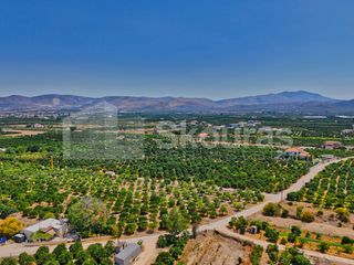 Αγροτεμάχια 7.425 τ.μ. για πώληση, Αργολίδα, Μιδέα-thumb-17
