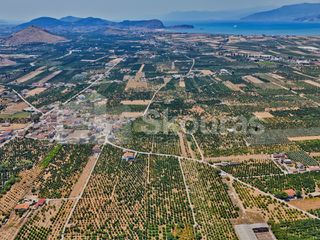 Αγροτεμάχια 7.425 τ.μ. για πώληση, Αργολίδα, Μιδέα-thumb-19