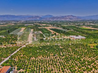 Αγροτεμάχια 7.425 τ.μ. για πώληση, Αργολίδα, Μιδέα-thumb-7