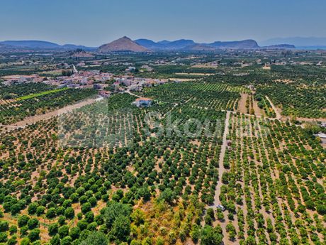 Αγροτεμάχια 7.425τ.μ. για πώληση-Μιδέα