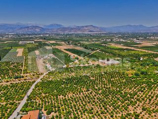 Αγροτεμάχια 7.425 τ.μ. για πώληση, Αργολίδα, Μιδέα-thumb-8