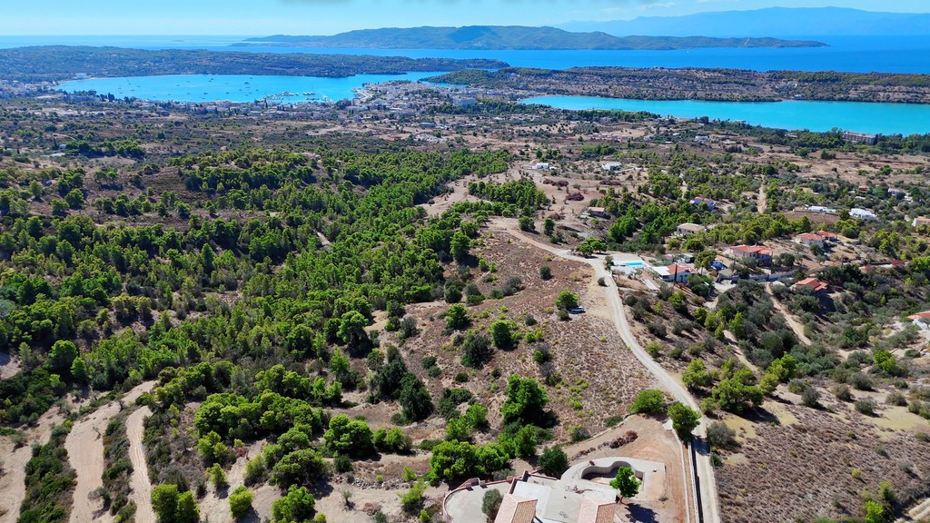 Αγροτεμάχια 10.000 τ.μ. προς πώληση, Βερβερούδα