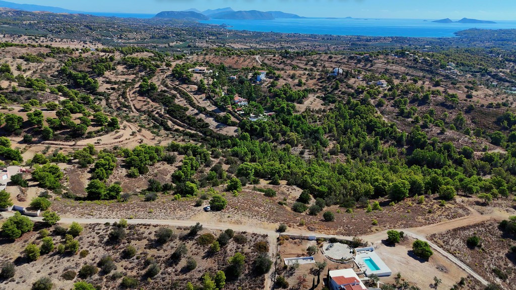 Αγροτεμάχια 10.000 τ.μ. προς πώληση, Βερβερούδα