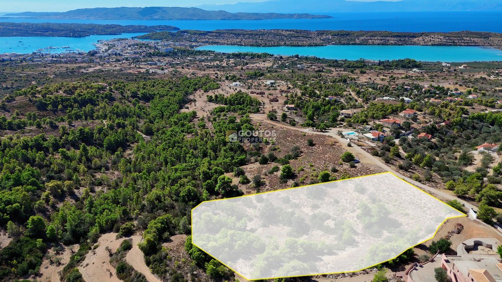 Αγροτεμάχια 10.000 τ.μ. προς πώληση, Βερβερούδα