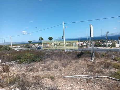 Αγροτεμάχια 760τ.μ. για πώληση-Νέα μάκρη