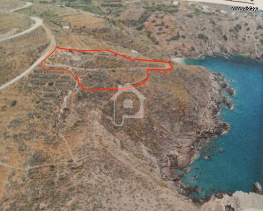 Αγροτεμάχια 4.003 τ.μ. πρός πώληση