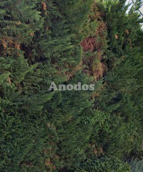 Διαμέρισμα 128τ.μ. για πώληση-Νέα ερυθραία » Μορτερό