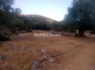 Αγροτεμάχια 4.467 τ.μ. για πώληση