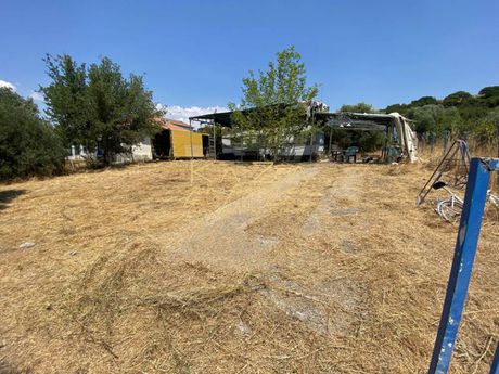 Parcel 500sqm for sale-Kallikrateia » Center