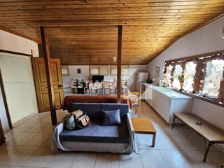 Studio 60 sqm for rent