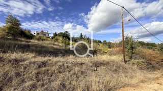 Οικόπεδο 2.600 τ.μ. για πώληση