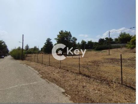 Οικόπεδο 7.100τ.μ. για πώληση-Κηφισιά » Κεφαλάρι