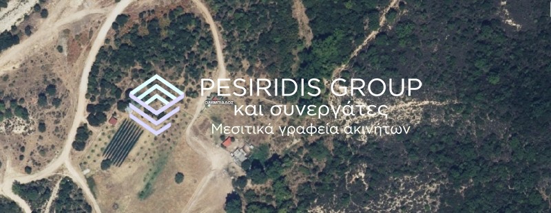 Αγροτεμάχια 1.240 τ.μ. προς πώληση, Ολυμπιάδα Χαλκιδικής